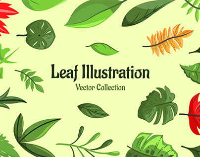 Leaf Vector Collection