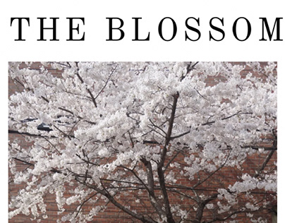 The blossom
