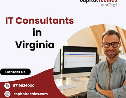 IT Consultants in Virginia