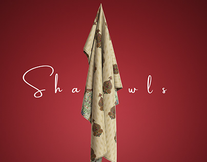 Shawls/Dupatta mock-up
