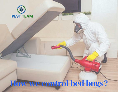 How we control bed bug?