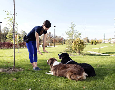 Dog Trainer Murrieta CA