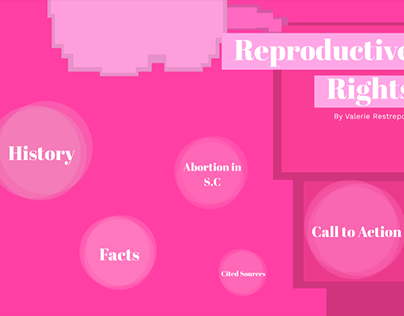 Reproductive Rights in the US