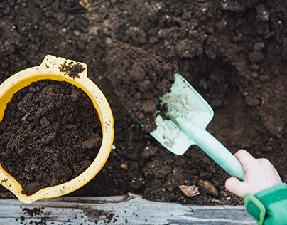 How to make nutrient-rich Compost at home?