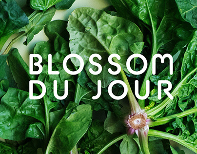 Blossom Du Jour Branding and Icons