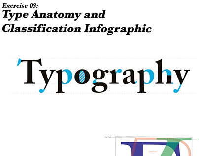 Ex 03: Type Anatomy and Classification Infographic