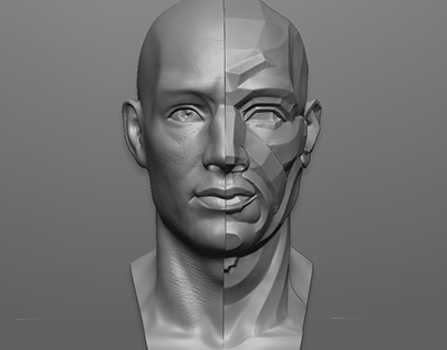 Sculpting head for anatomy study School