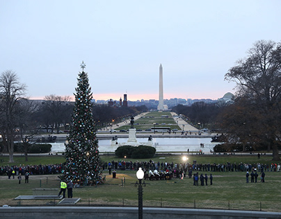 Capitol Tree Lighting