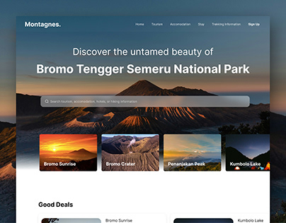 Project thumbnail - Website Landing Page Design | Montages
