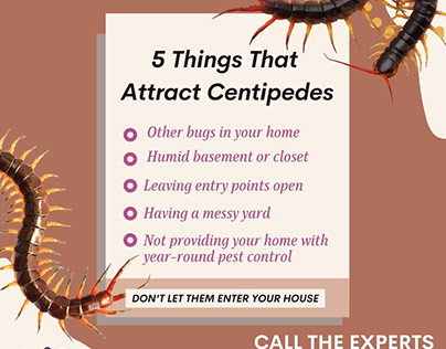 Centipedes Control