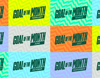 League Football Education | Goal of the Month