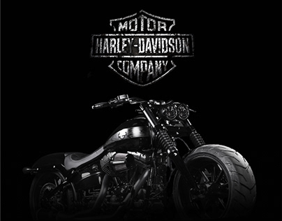 Harley-Davidson brings victory