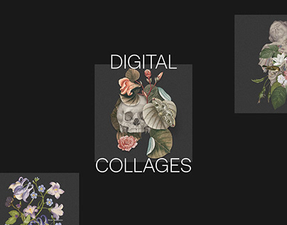 digital collages | artwork