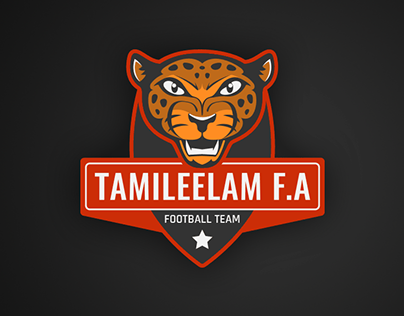 Emblem for football team