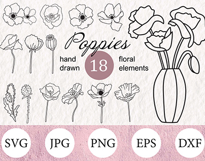 Vector graphic illustration set of poppies and anemones