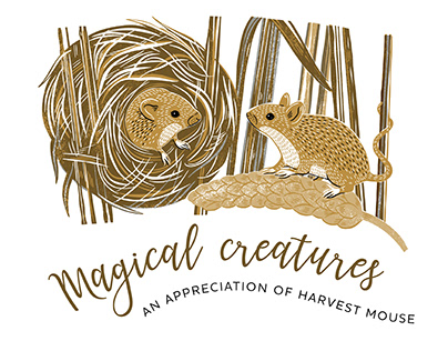 Magical Creatures - animal illustrations 2022