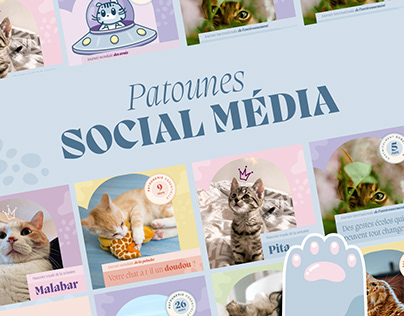 Patounes | Social Media Cat | Instagram Post