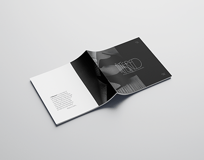 filtered | minimalist booklet concept