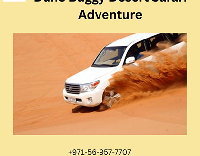 Dune Buggy Desert Safari Adventure