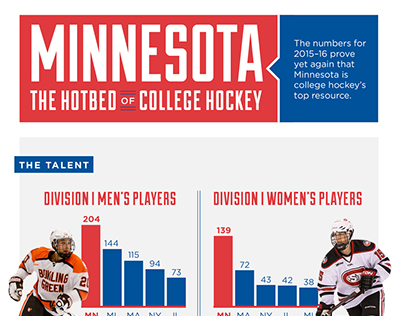 Minnesota Hockey Infographic
