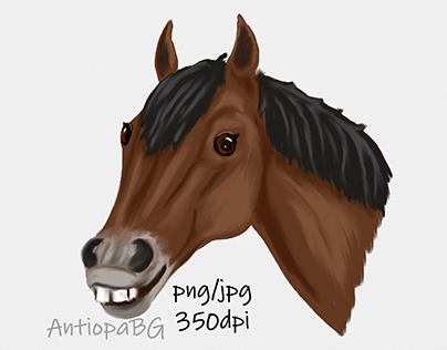 Smiling Horse Portrait