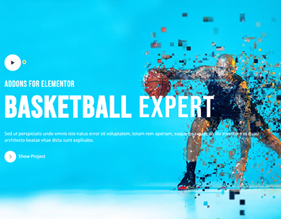 Basketball Expert Website with addon slider