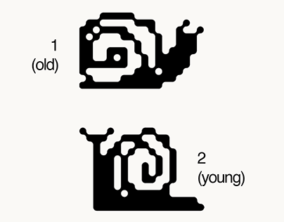 glyph drawn snails