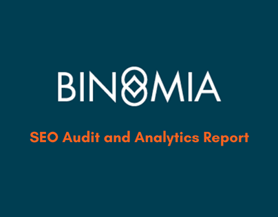 SEO audit and analytics report - Camila Pierotic