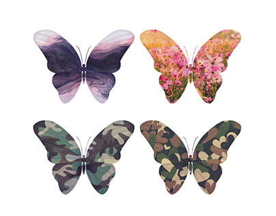 The Butterfly Series