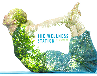 The Wellness station brochure