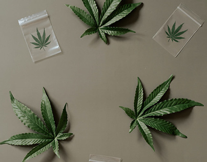 Recreational cannabis