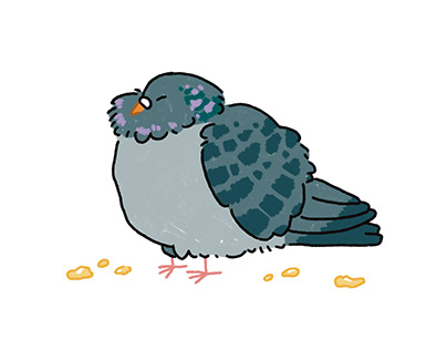 That fat pigeon