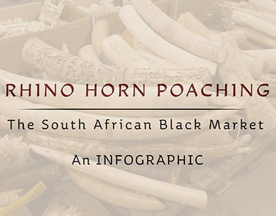 Rhino Horn Poaching: The Black Market Infographic
