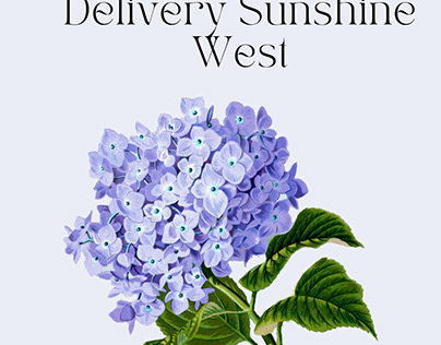 Same Day Flower Delivery Sunshine West