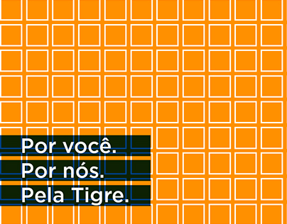 Tigre | Da Série: Um trabalho acadêmico.