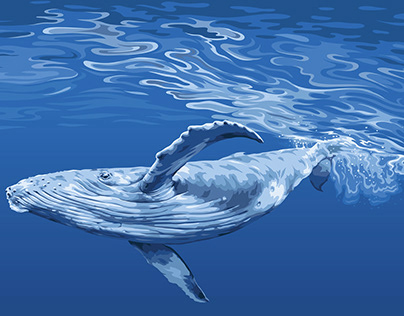 whale diving in the sea illustration