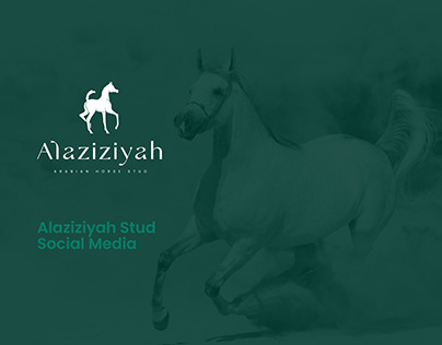 Alaziziyah Stud Social media