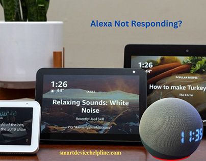Echo Show Not Responding | Alexa Not Responding