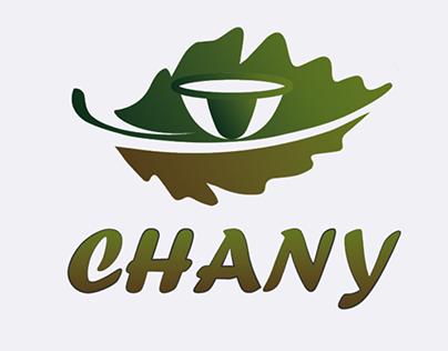 презентация логотипа для компании "CHANY"