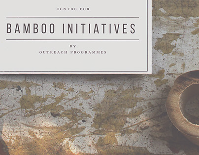 Brochure Design for Bamboo Initiatives at NID