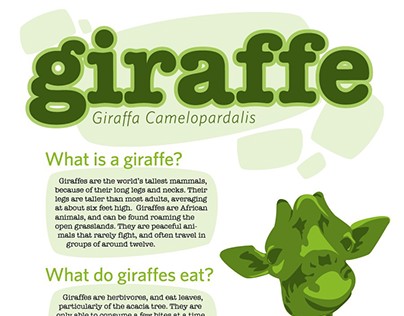 Giraffe Newsletter