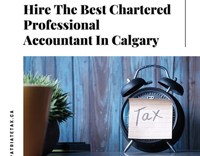 Chartered Professional Accountant