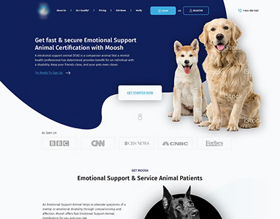 Animal Clinic Website Custom Home Page Design!