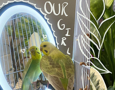 'Our Girl' Budgie Collage