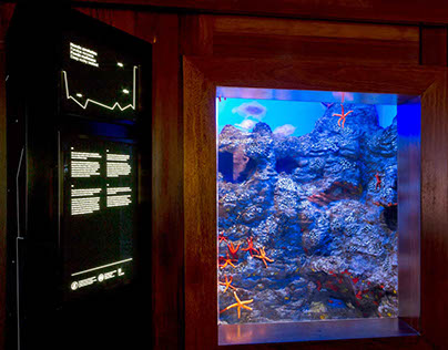 Aquarium Donostia-San Sebastián