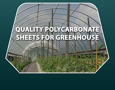 Quality Polycarbonate Sheets for Greenhouse
