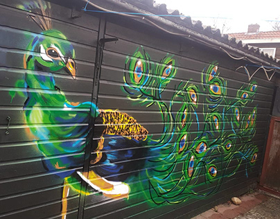 Graffiti Mural Peacock