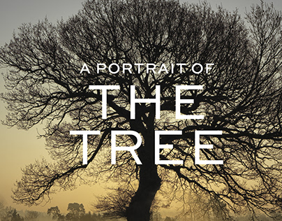 A portrait of the Tree