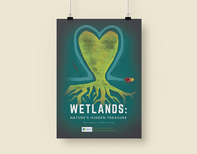 Wetlands: Nature's Hidden Treasure