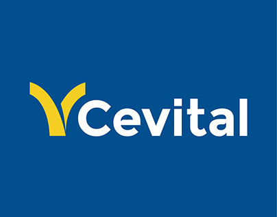 web design : Groupe CEVITAL